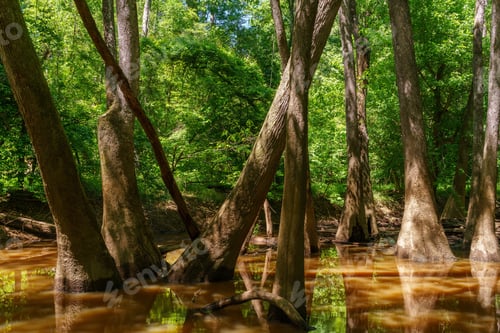 Preview: National Park