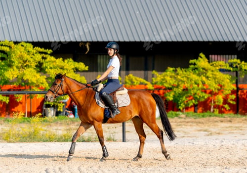 Preview: Side view of teen girl control hose to walk in the arena during train or practice.