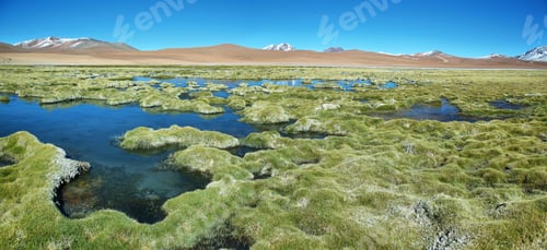Preview: Quepiaco lagoon, Chile