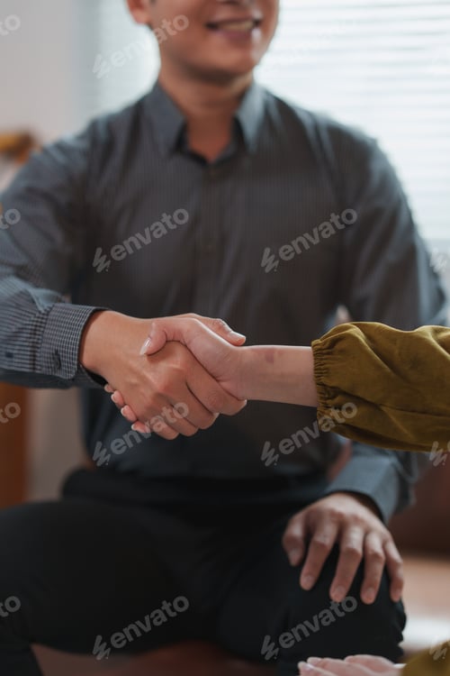 Preview: Business people shaking hands after successful meeting