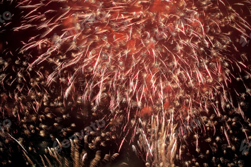 Preview: Fireworks Bright On A Black Background
