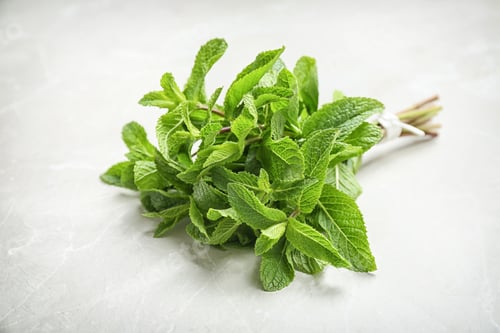 Preview: Bunch of fresh green mint on light background