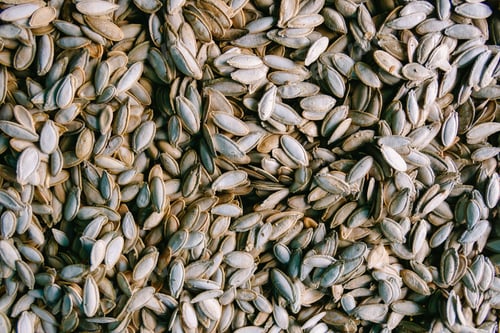 Preview: Pumpkin seeds texture background