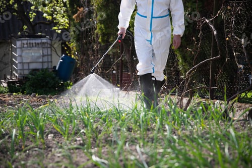 Preview: Farmer spraying fertilizer. Pest control and plant diseases to obtain a large harvest