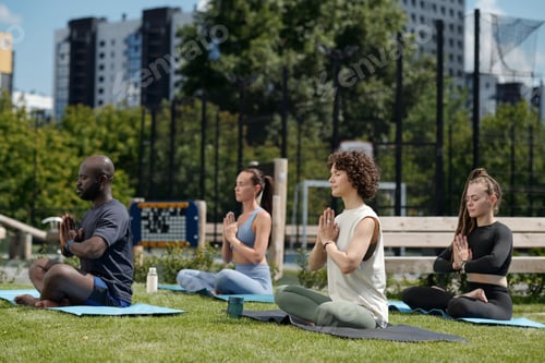 Preview: Side view of group of intercultural athletes practicing yoga outdoor