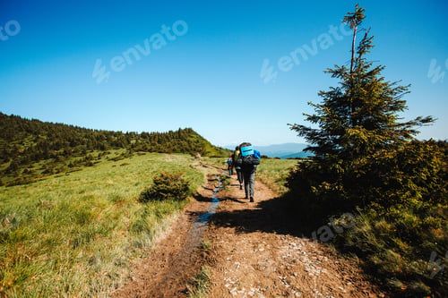 Preview: The group of tourists in the Carpathians. trekking in the mountains