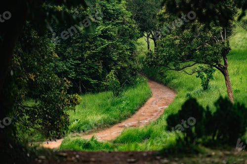 Preview: Embark on Scenic Journey, Driving Along an Highway Through Lush Green Forests
