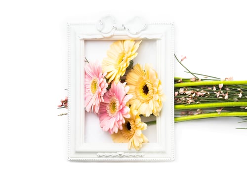 Preview: Beautiful gerbera bouquet isolated on white