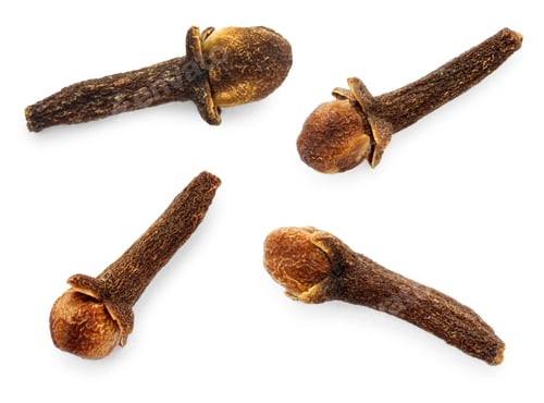 Preview: Fragrant clove buds isolated on white, set