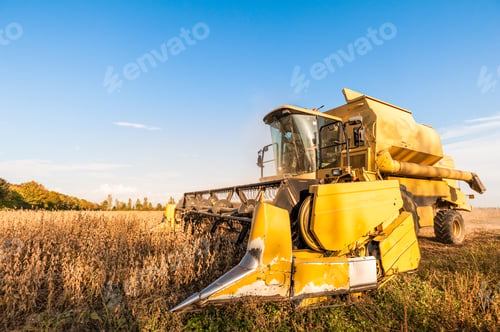 Preview: Harvesting of soybean field with combine harvester.