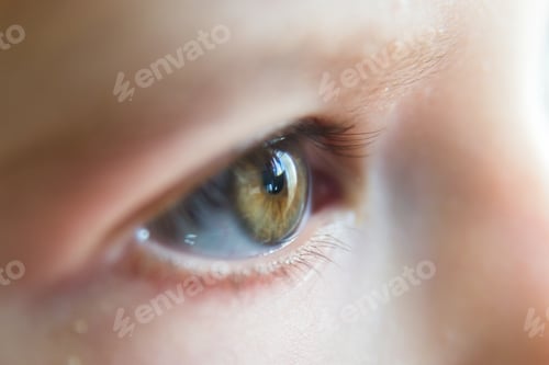 Preview: Closeup shot of a baby's cute green eye