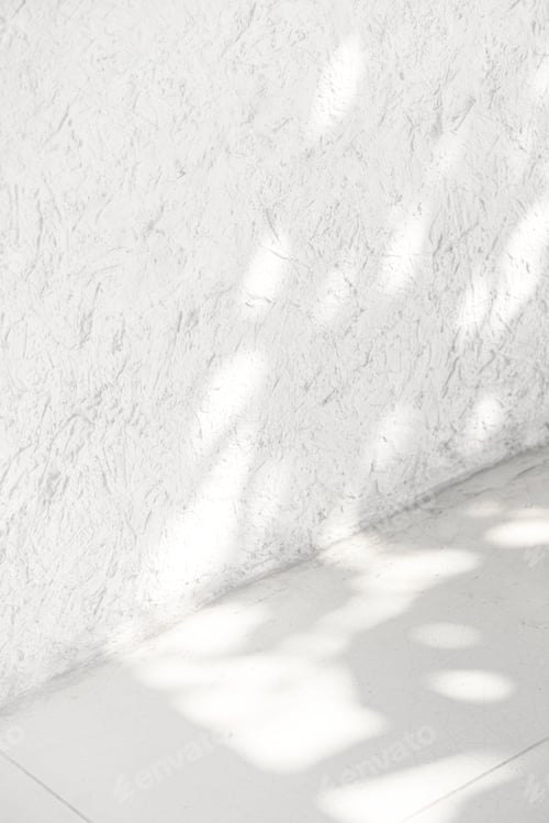 Preview: Empty white corner with tropical leaf shadow