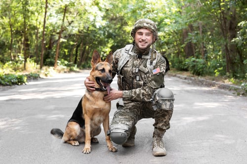 Preview: Man in military uniform with German shepherd dog outdoors