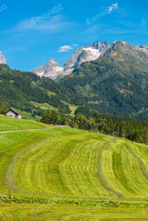 Preview: Swiss mountains with green land landscape