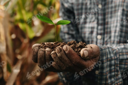 Preview: Man hands grabbing earth with a plant.The concept of farming and business growth.