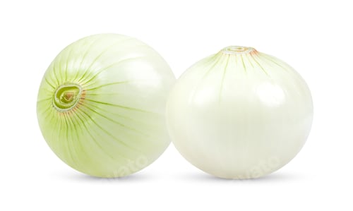 Two White Onions on a White Background