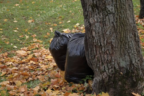 Preview: garbage in black plastic bags in garden, in yard. cleaning of house territory in autumn season