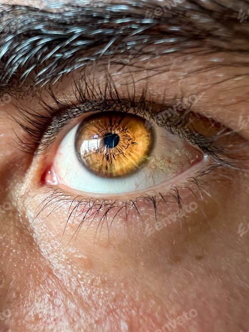 Preview: Glowing brown male eye with black eyebrow