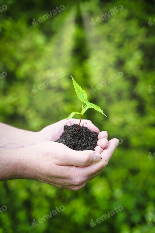 Preview: Safe the nature for the future