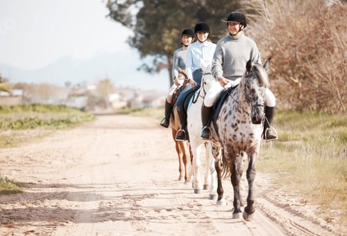 Preview: I call horses divine mirrors. Shot of three attractive young women horse riding on a farm.