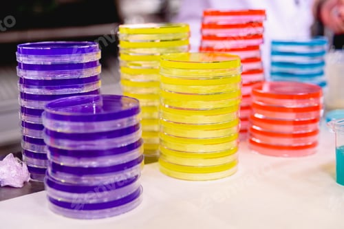 Preview: Empty colored petri dishes for use in scientific and school experiments.