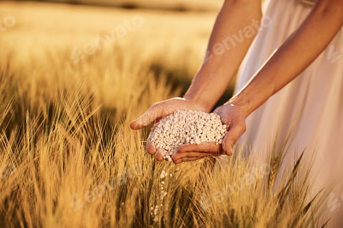 Preview: Quality product. Close up view of perlite in woman's hands that is on the agricultural field
