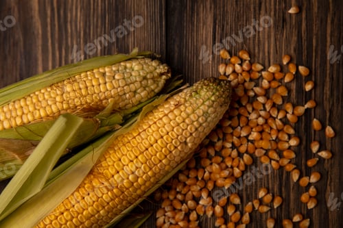 Preview: top view of fresh corns with hair with kernels isolated on a wooden background