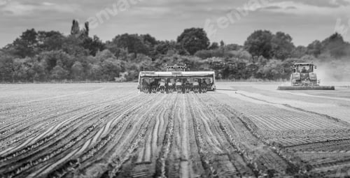 Preview: People pulling a tractor while planting cabbage seeds in Spalding, Lincolnshire, UK