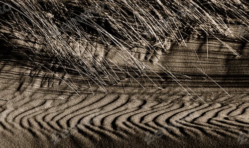Preview: Sand patterns