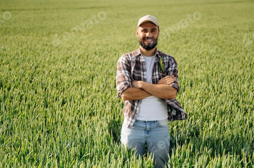 Preview: Standing with arms crossed. Man farmer is on the agricultural field