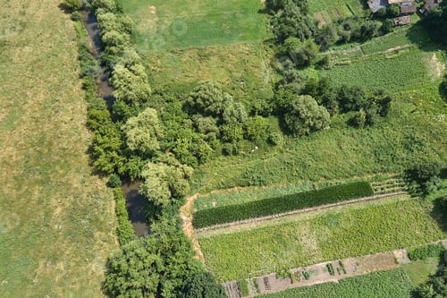Preview: Aerial landscape view of green and yellow cultivated agricultural fields with growing crops