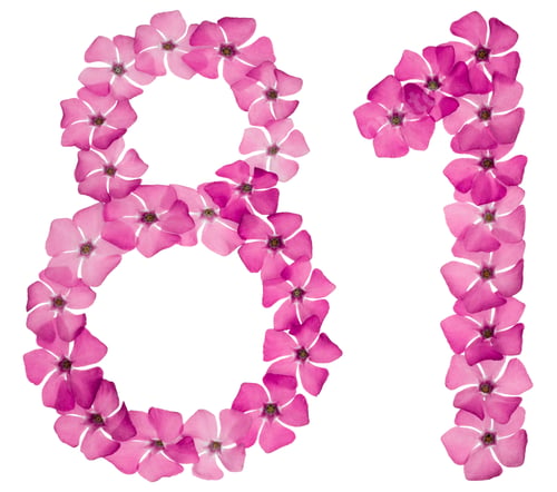 Preview: Numeral 81, eighty one, from natural pink flowers of periwinkle, isolated on white background