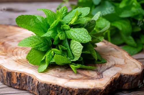 Preview: Fresh mint on the wooden background