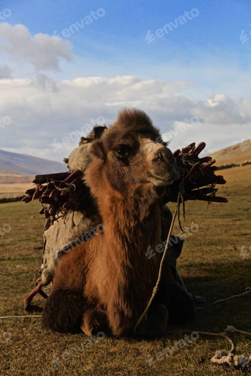 Preview: Kazakh nomads culture and lifestyle