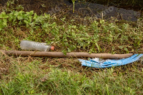 Preview: trash on the grass polluting pet bottle