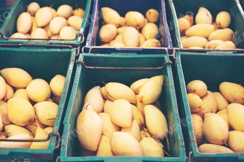 Preview: Fresh mangoes on display at outdoor farmers market in Thailand