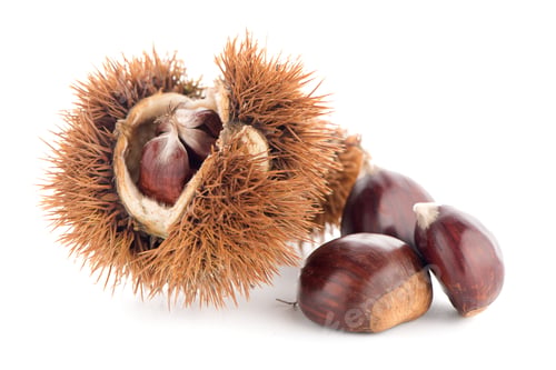 Preview: Chestnuts with shell