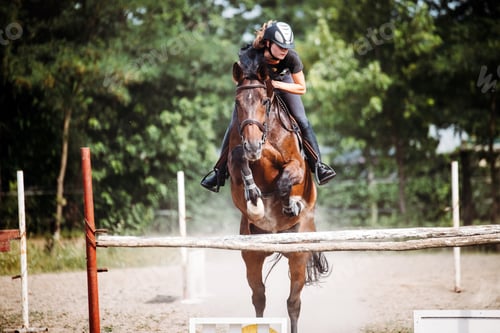 Preview: Young female jockey on horse leaping over hurdle