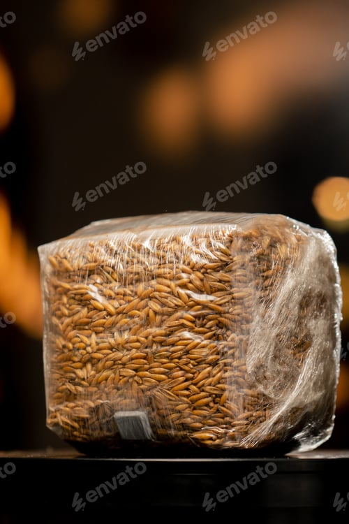 Preview: A mushroom farm that grows mushrooms in plastic bags and organic soil materials on racks natural