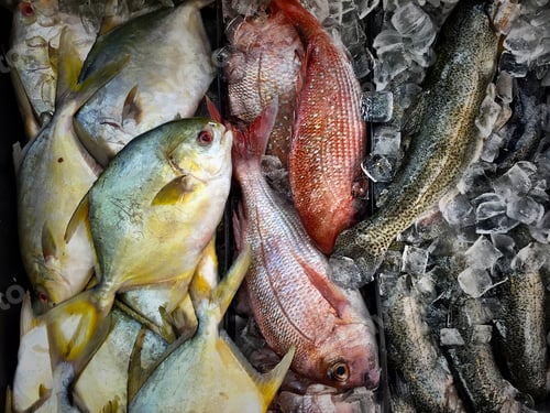 Preview: Fresh fish for sale. San Diego, California. Tonythetigersson Tony Andrews Photography