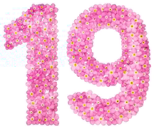 Preview: Arabic numeral 19, nineteen, from pink forget-me-not flowers, isolated on white background