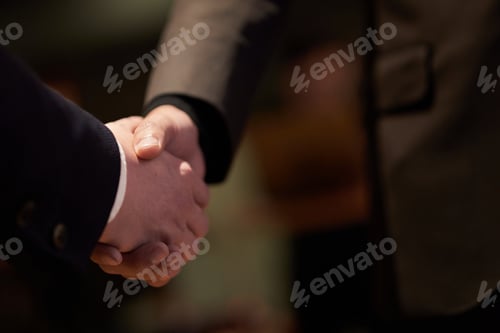 Preview: A businessman shaking hands.