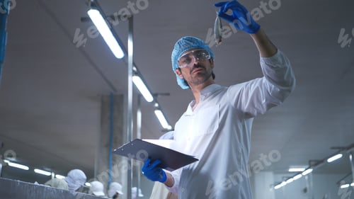 Preview: Raw material quality inspectors evaluate and inspect fish pieces