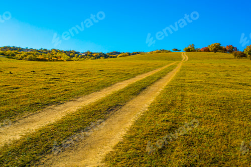 Preview: Grassland scenery