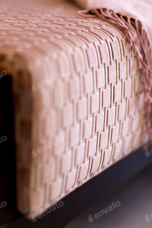 Preview: Stylish interior of living room with design pink sofa and plaid.