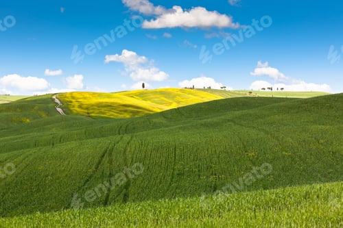 Preview: Outdoor Tuscan hills landscape