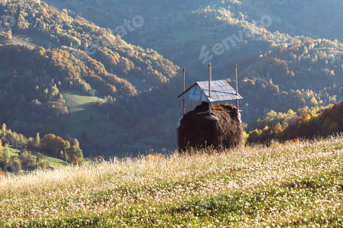Preview: Blooming pasture with haystack and orange forest glows in sunrise light