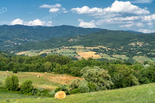 Preview: Summer landscape at Passo della Consuma, Tuscany