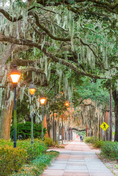 Preview: Savannah, Georgia, USA tree lined sidewalks