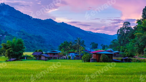 Preview: rice paddy field at Sapan Bo Kluea Nan Thailand